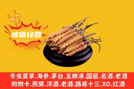 乌鲁木齐回收冬虫夏草